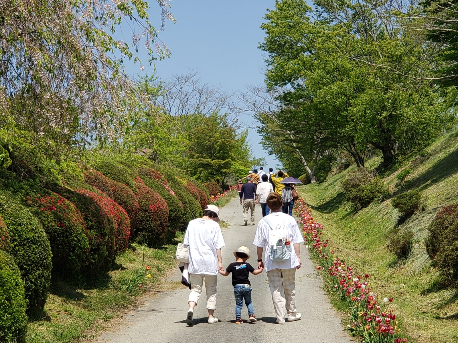 Ark館ヶ森にはぜひスニーカーでお出掛け下さい