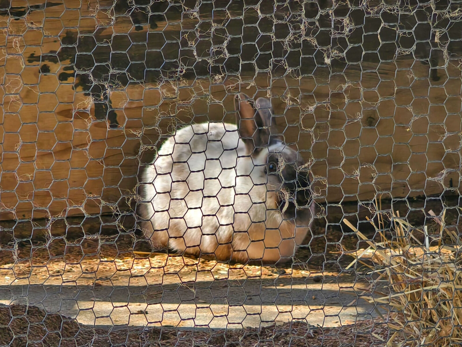 動物たちの世話で日々気を付けている事