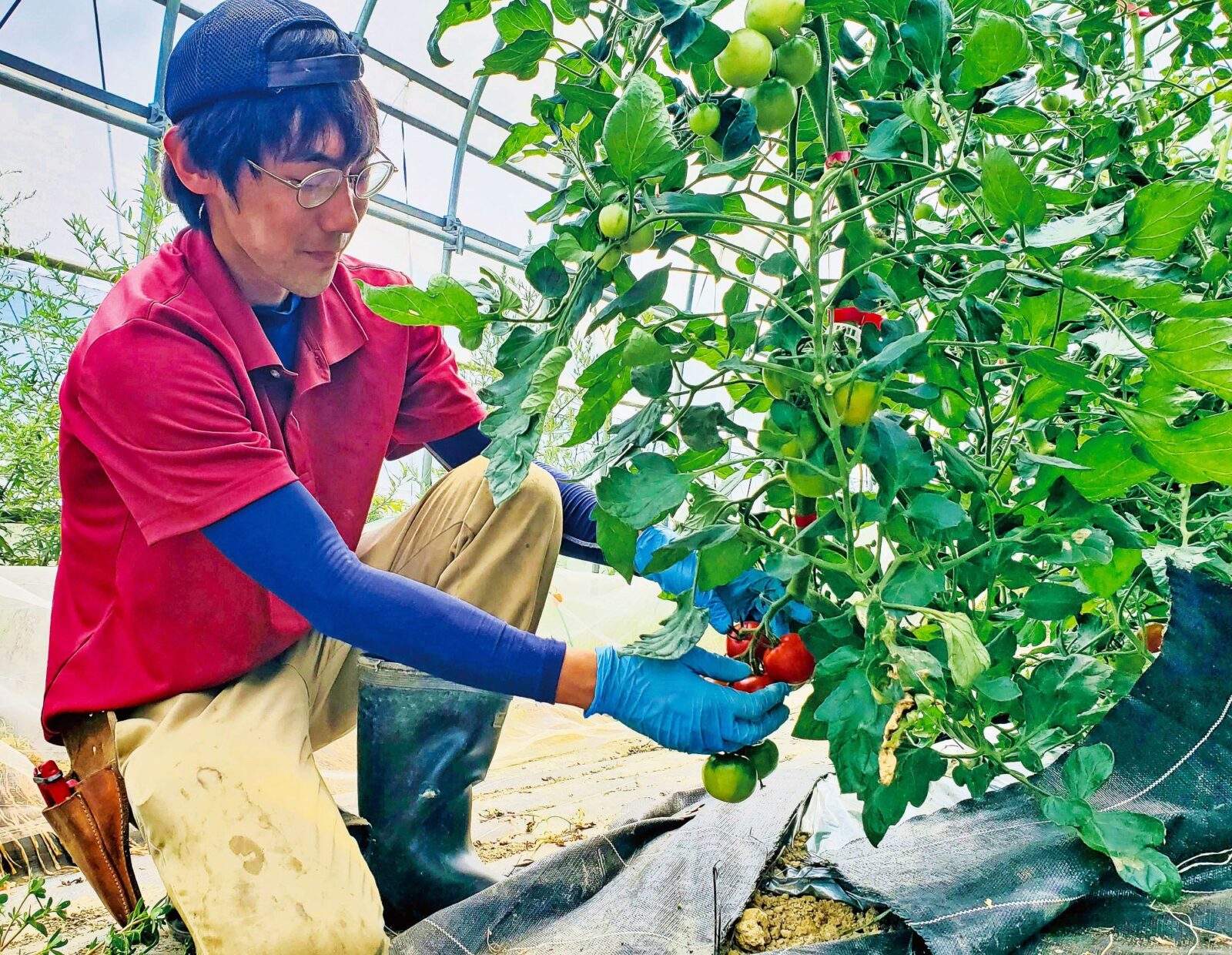 1DAYファーマーズツアー.2024　安心・安全な野菜作りを学ぶ -旬な野菜を味わい尽くそう-