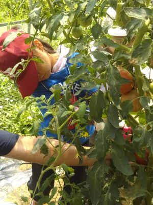 あなたも野菜王子から学ぼう！！！！！