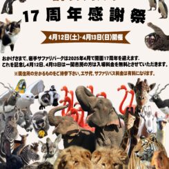 【エコール館ヶ森】岩手サファリパーク　17周年感謝祭　開催告知!