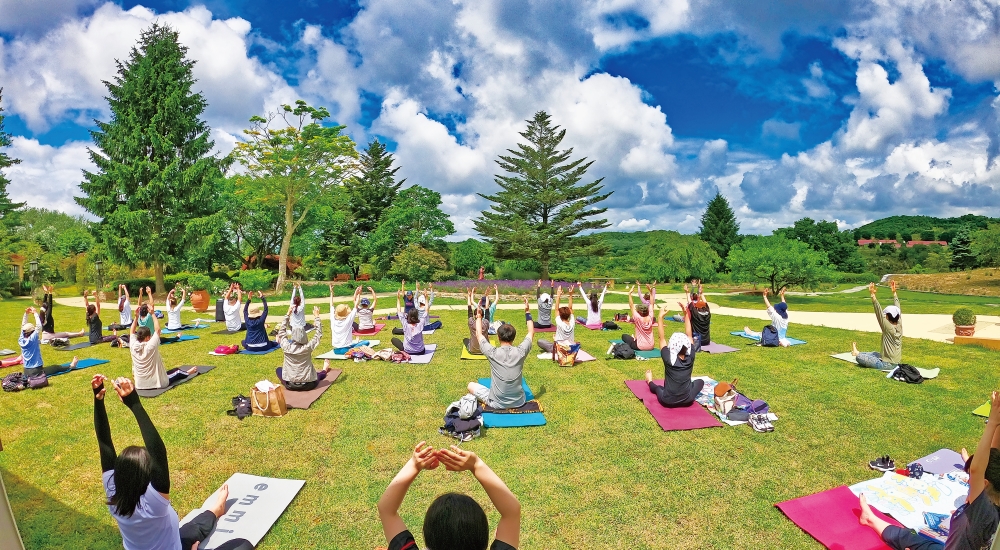 6月21日㈯国際ヨガ・デーに開催！ラベンダーを呼吸するyoga